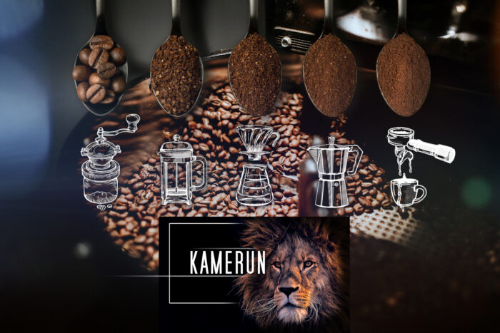 Kawa Kamerun - obrazek 3
