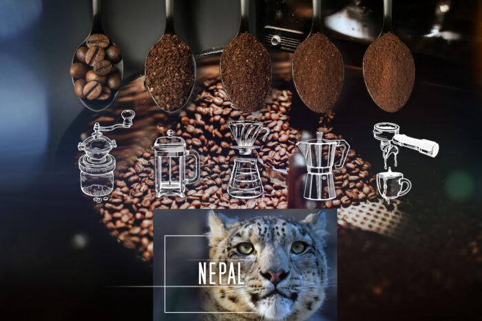 Kawa Nepal - obrazek 4