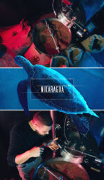 Kawa Nikaragua - obrazek 2