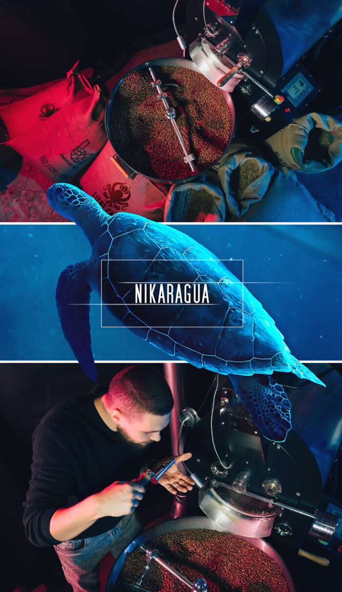 Kawa Nikaragua - obrazek 2