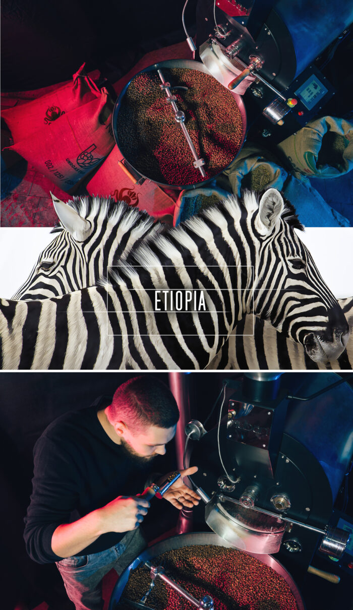 Kawa Etiopia - obrazek 2