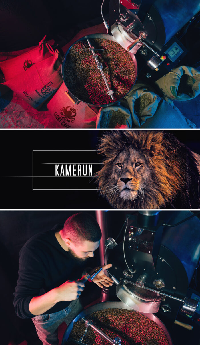 Kawa Kamerun - obrazek 2