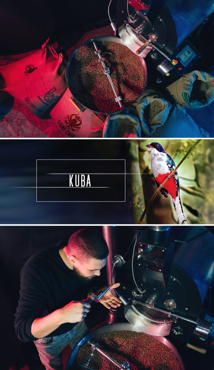 Kawa Kenia - obrazek 2