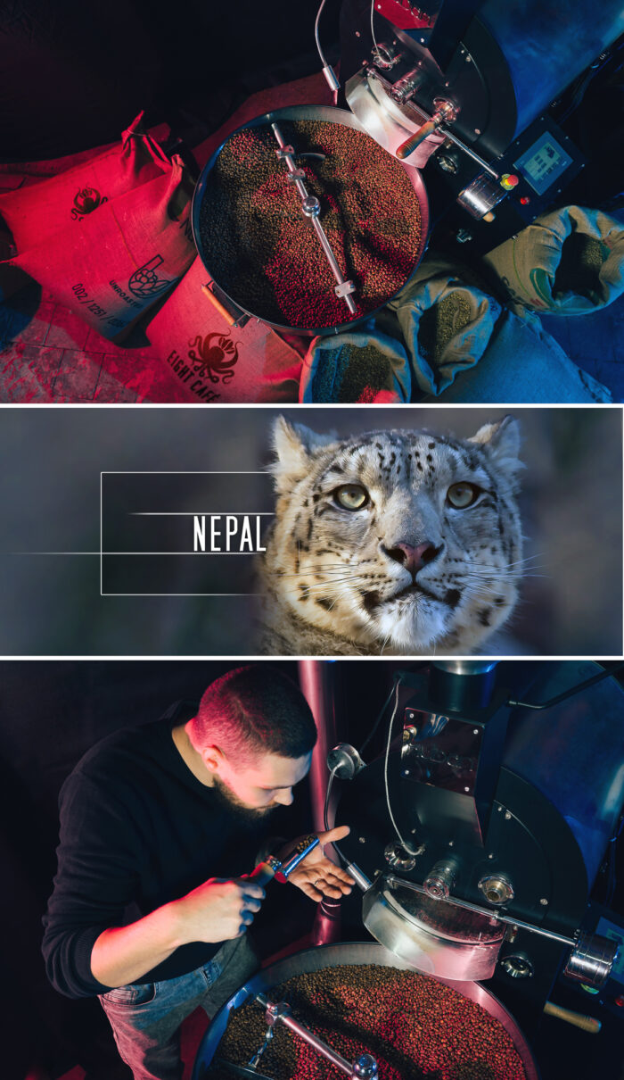 Kawa Nepal - obrazek 2