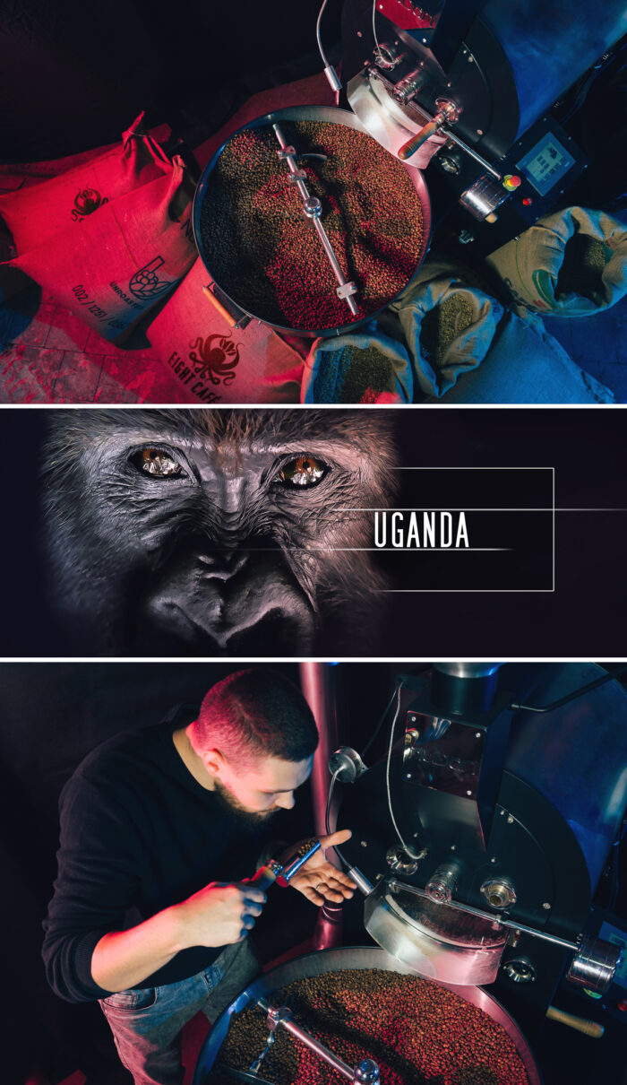 Kawa Uganda - obrazek 3