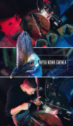 Kawa Papua Nowa Gwinea - obrazek 4